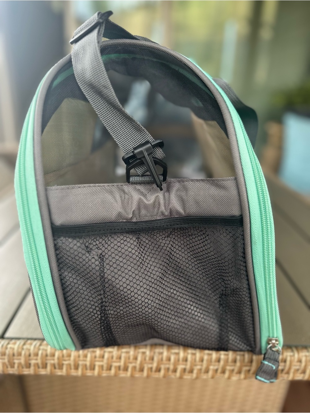 Teal Soft-Sided Small Pet Carrier - Picture 2 of 11
